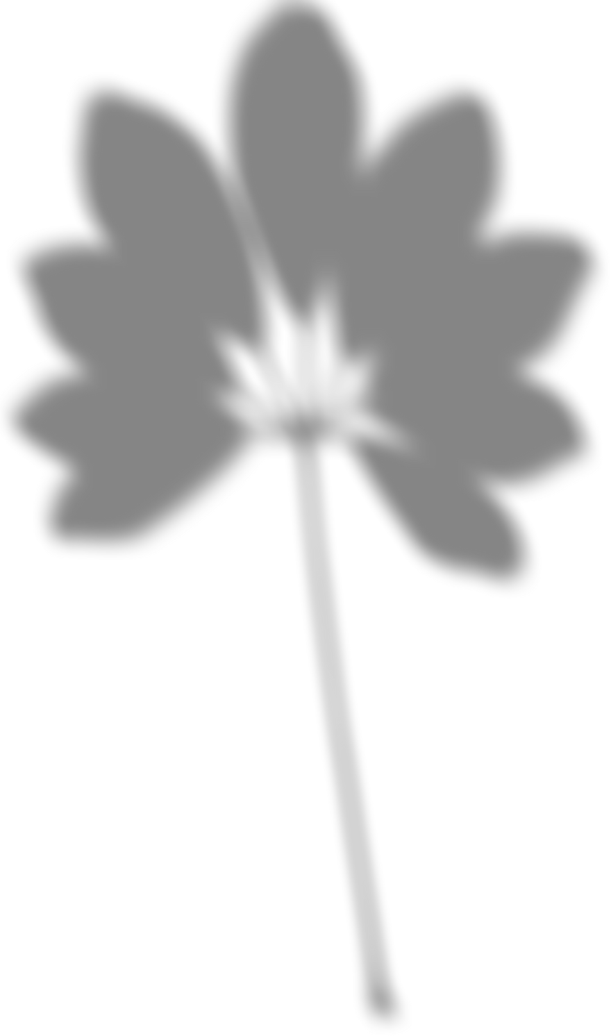 Blurred Fan Leaf Shadow