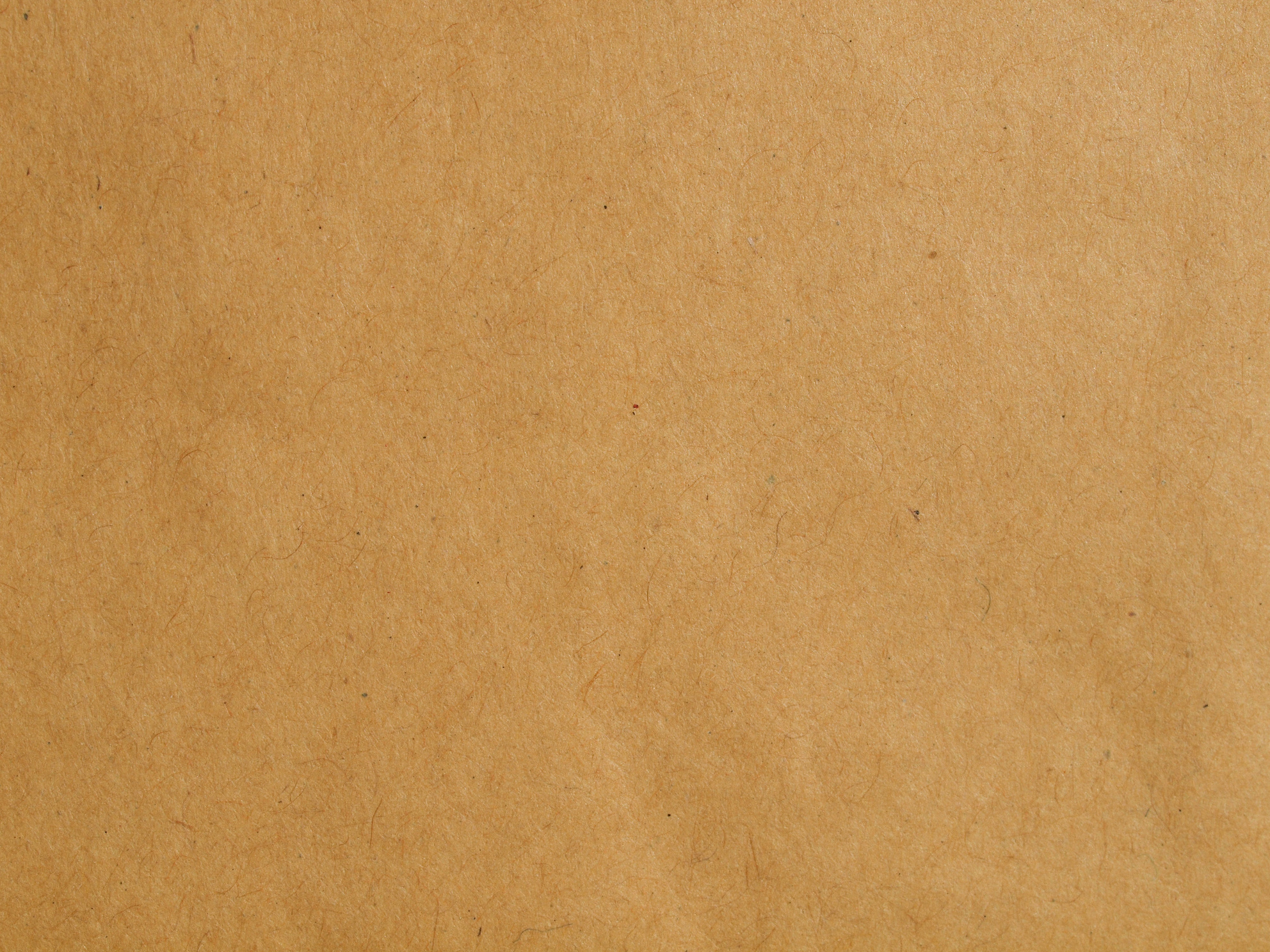 Brown Paper Background